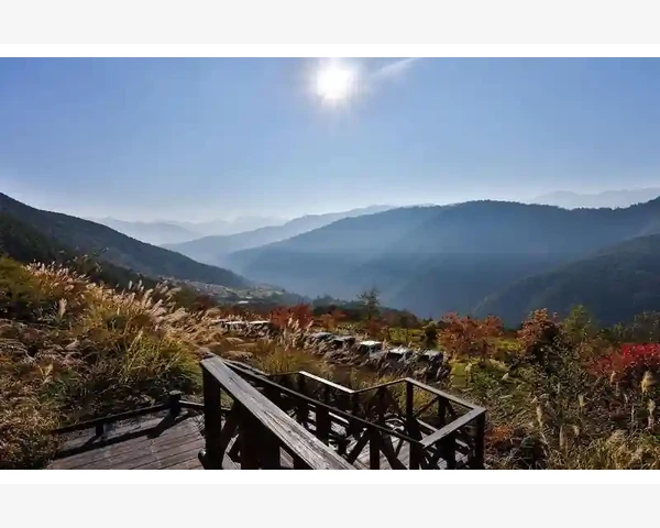 提神驱寒，温暖心灵——畅谈国药准字OTC驱寒药茶